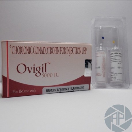 Ovigil Sanzyme (1x5000 IU)