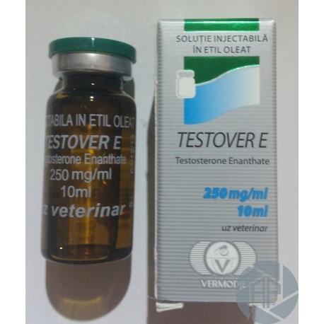 Testover E (Testosterone Enanthate) Vermodje