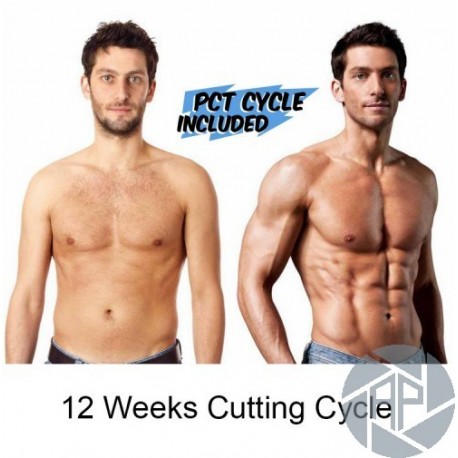 12 WEEKS BEGINNER CUTTING CYCLE