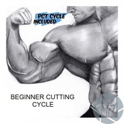 BEST BEGINNER'S (NEWBIE) CUTTING CYCLE