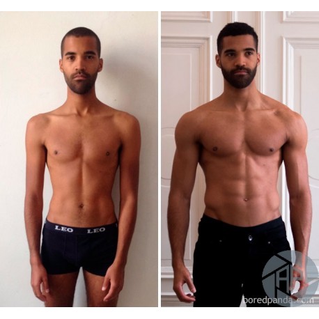 BEST BEGINNER'S (NEWBIE) CUTTING CYCLE